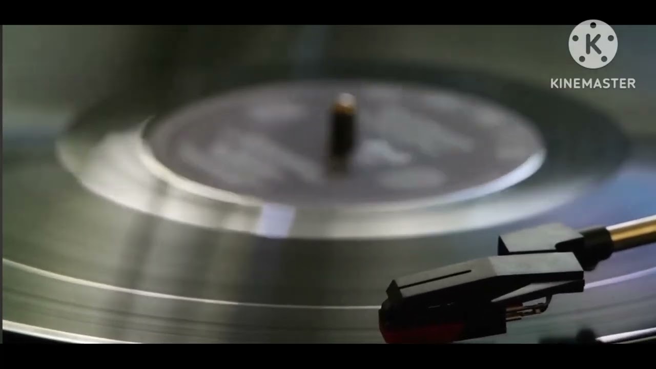 U2 - The Fly Guitar Backing Track (live  Zoo tv Tour) 