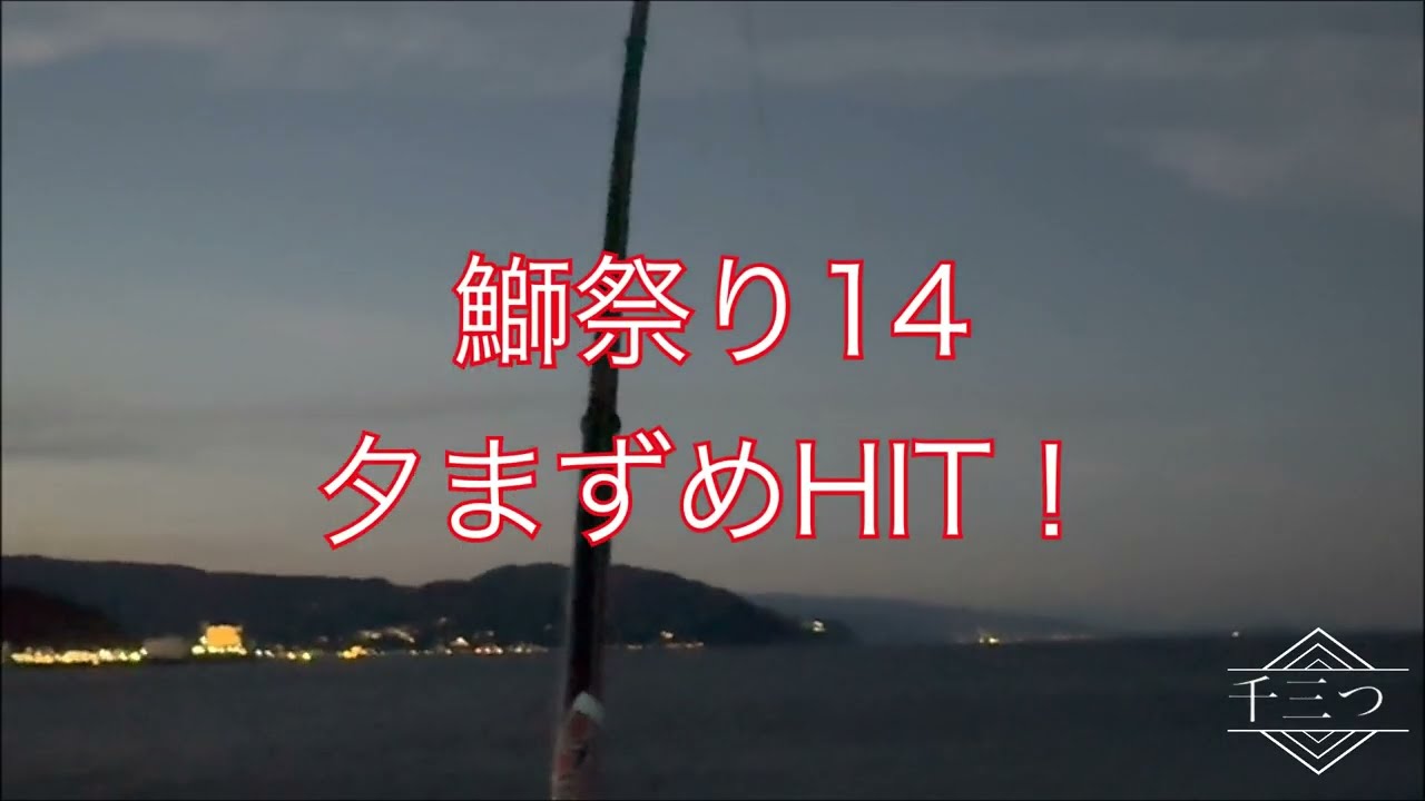 鰤祭り14 夕まずめにHIT！ （伊豆　伊東港　堤防　泳がせ釣り　カマス　ワラサ　ブリ）