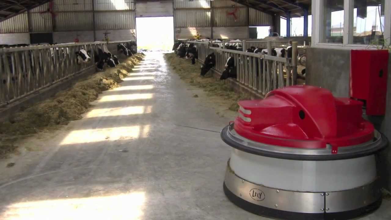 Increase Efficiency | Lely Juno Automatic Feed Pusher