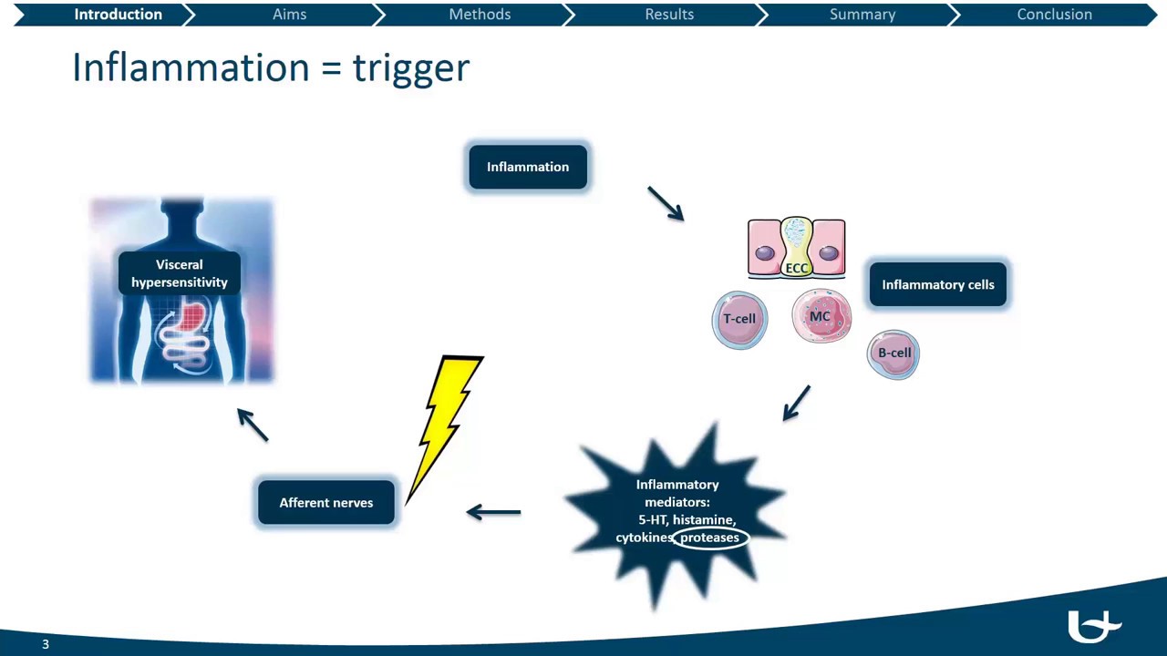 Protease activity and tryptase expression is increased by Hannah Ceuleers