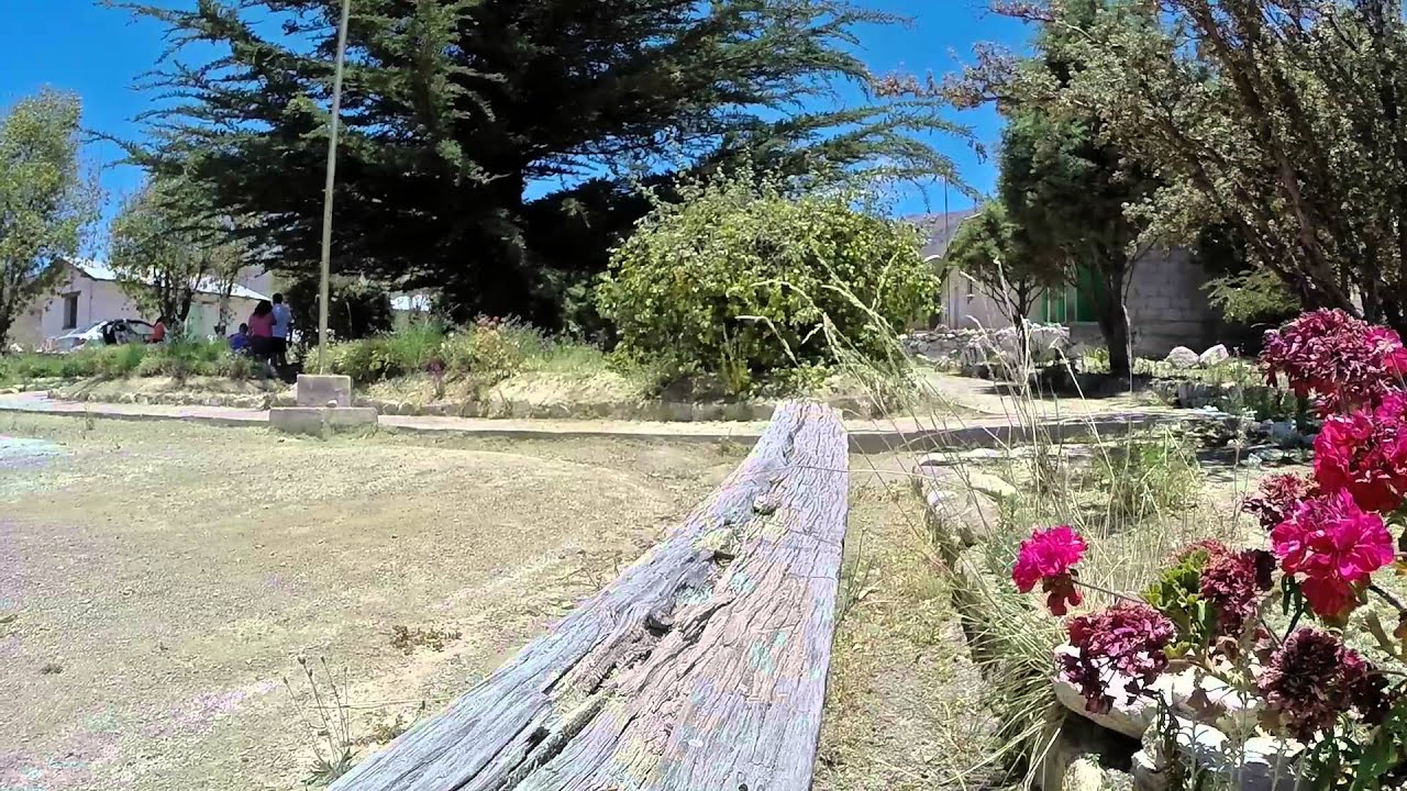 Chapiqui&ntilde;a - Arica