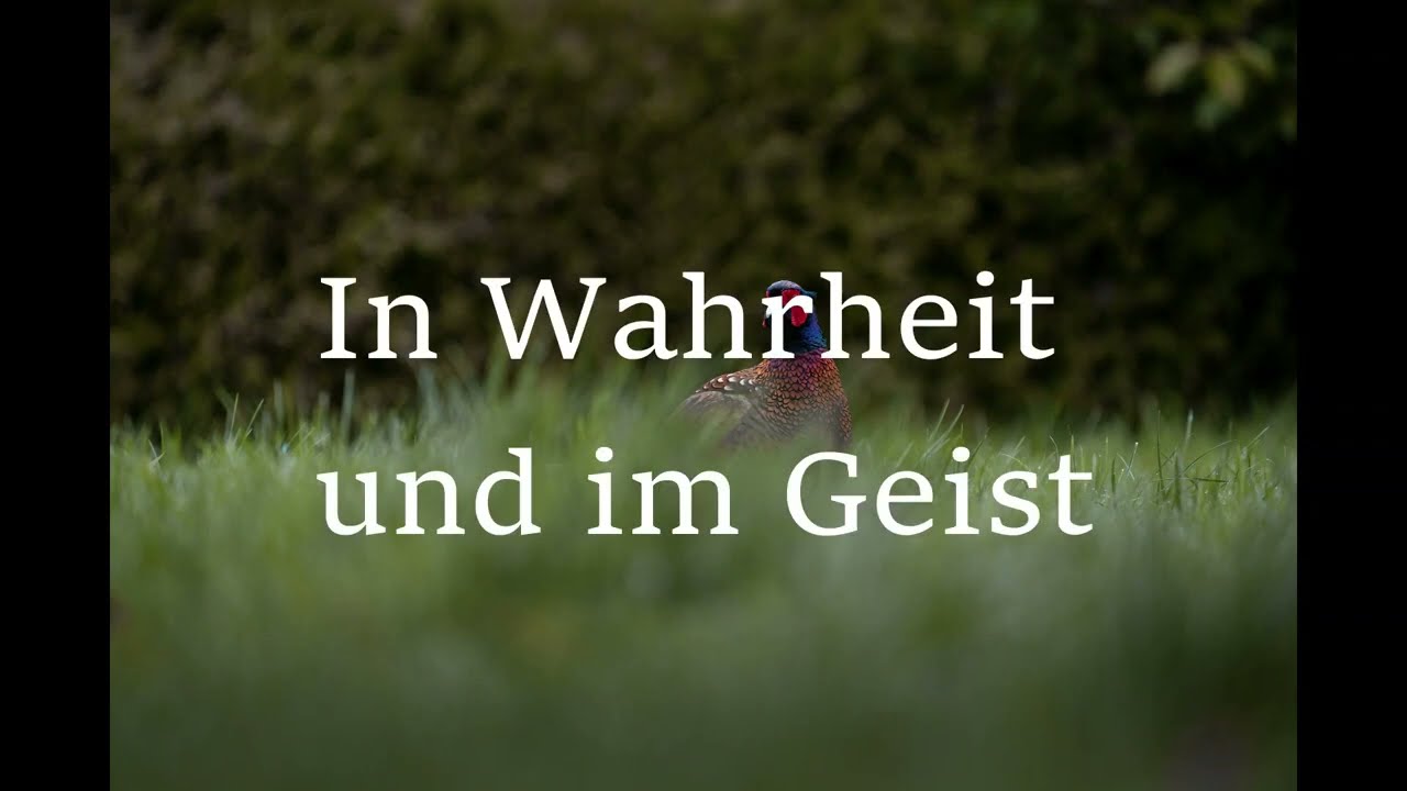 Lyric Session I In Wahrheit und im Geist 1999 I Benjamin Brecht I Albert Frey Cover