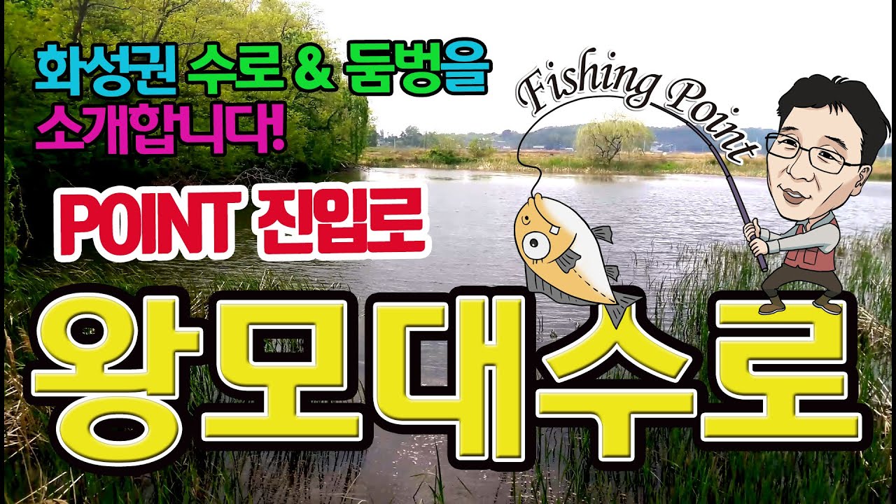 화성 왕모대 둠벙 &수로포인트 진입로 소개 [초록사랑]