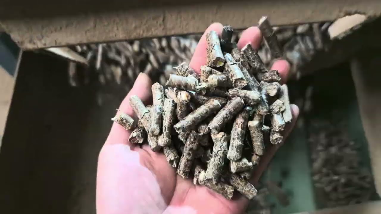 Waste wooden pallets making pellet machine from Yulong