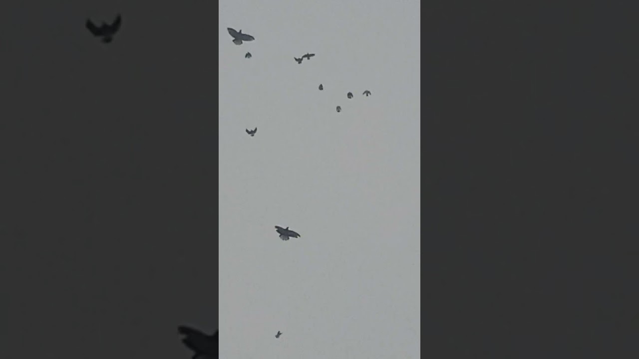 07.02.26.