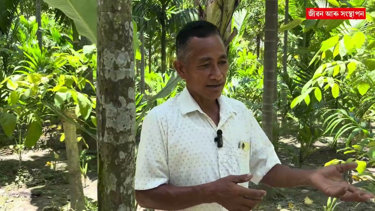 গাহৰি,মাছ,খেতি,নাৰ্চাৰী সকলো মিলাই বছৰত ২৫ লাখ ।Pranjal Gogoi। farming videos