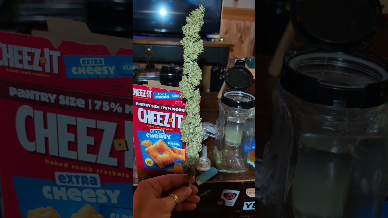 #homegrown #420community #cannabisdaily #420 #greenleaves