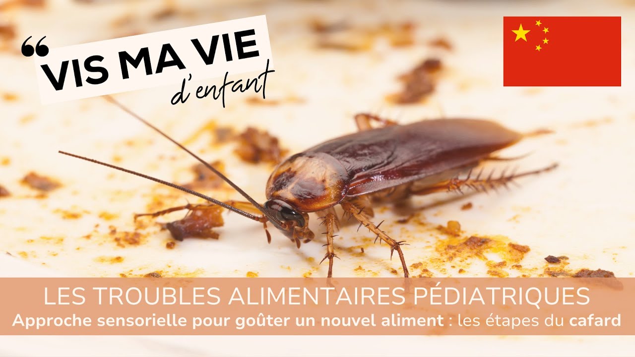 Troubles alimentaires pédatriques (TAP) : Approche sensorielle pour introduire de nouveaux aliments