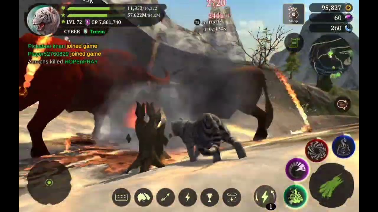 The tiger coop 5 gameplay by 72 level account and fury