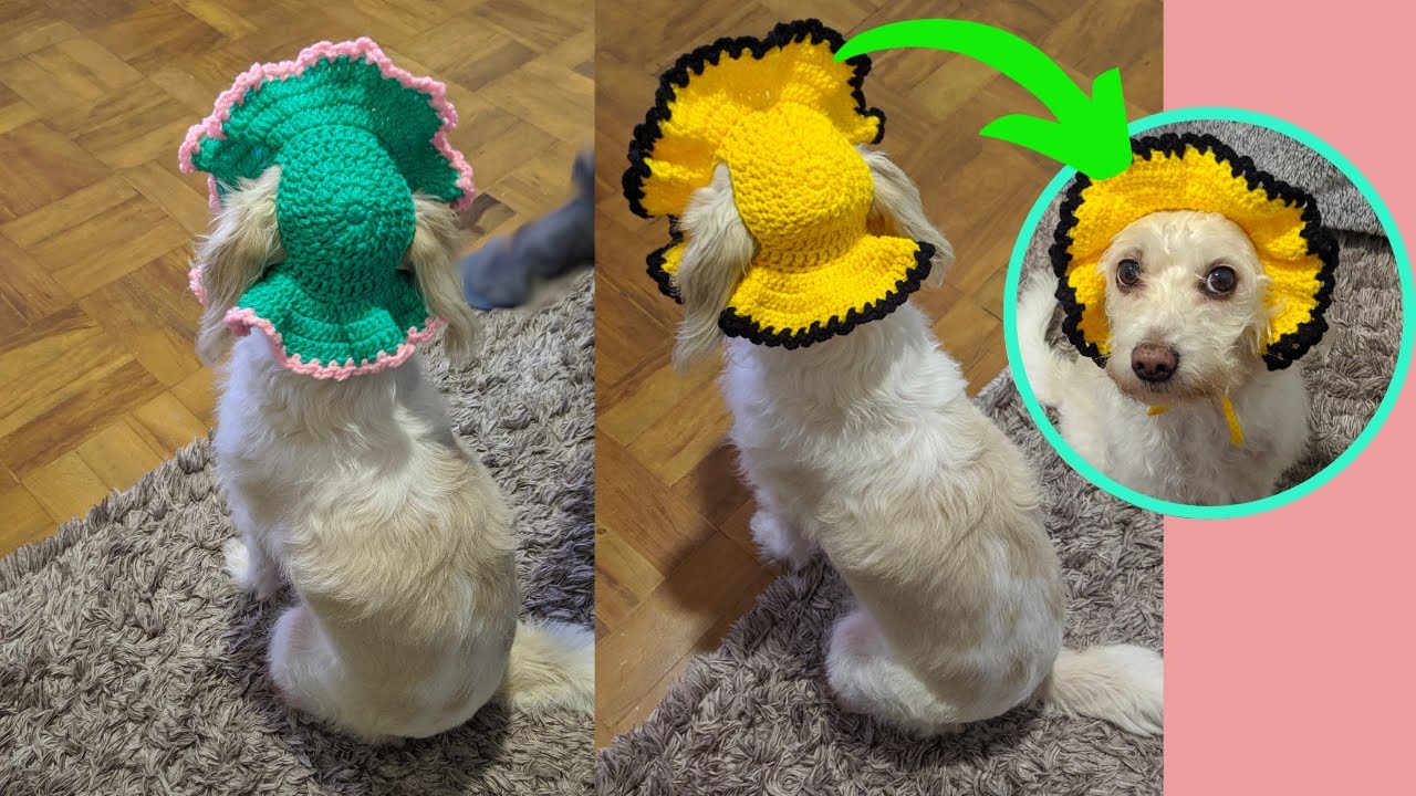 APRENDA A FAZER ESSE LINDO CHAPÉUZINHO PET