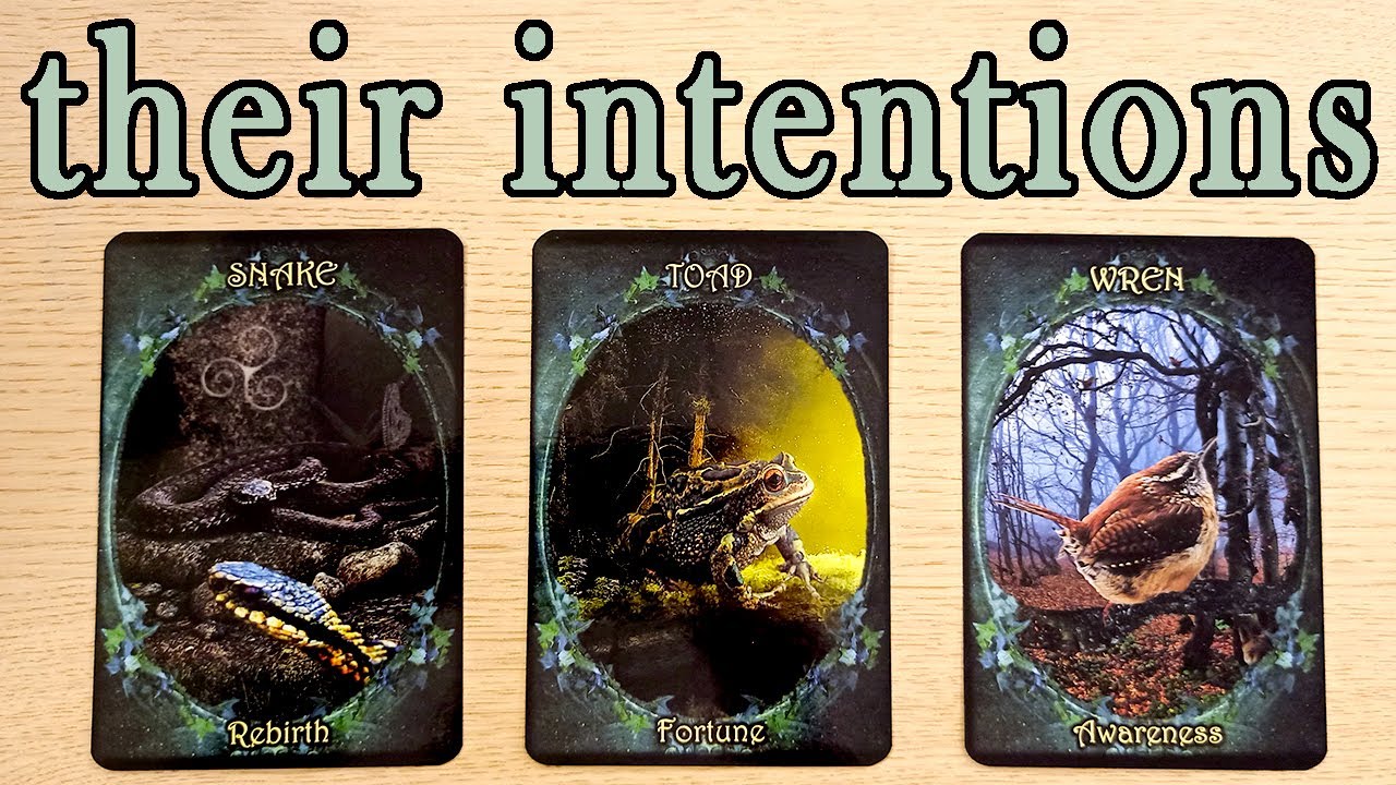 WHAT DO THEY WANT? THEIR INTENTIONS! PICK A CARD TIMELESS TAROT READING