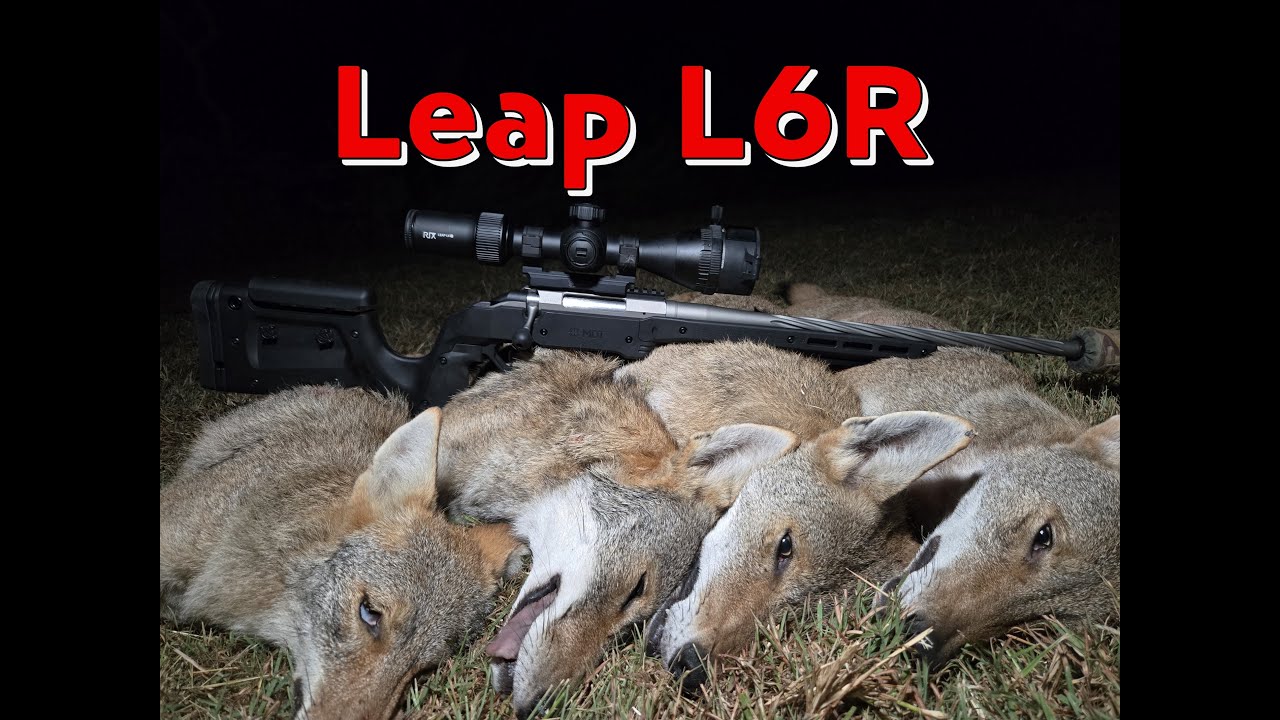 Обзор Leap L6R