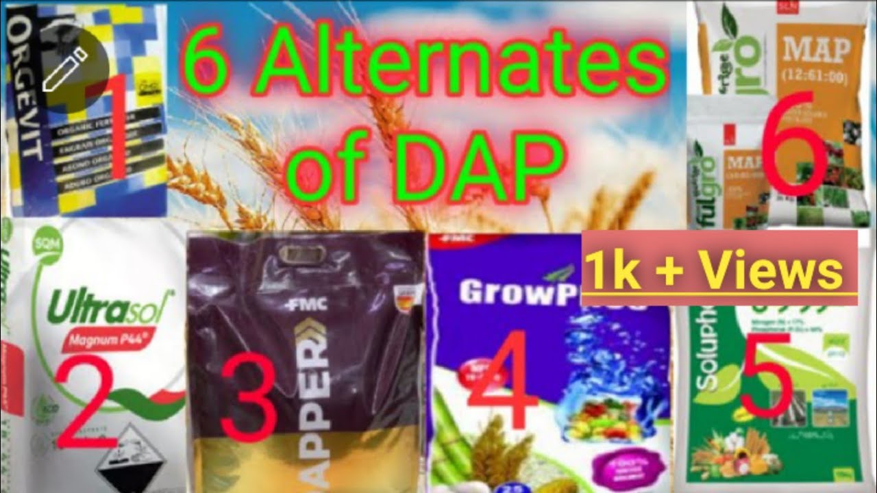 6 Alternates of DAP # Which Fertilizers is best for wheat # DAP vs Other fertilizers # DAP vs MAP.