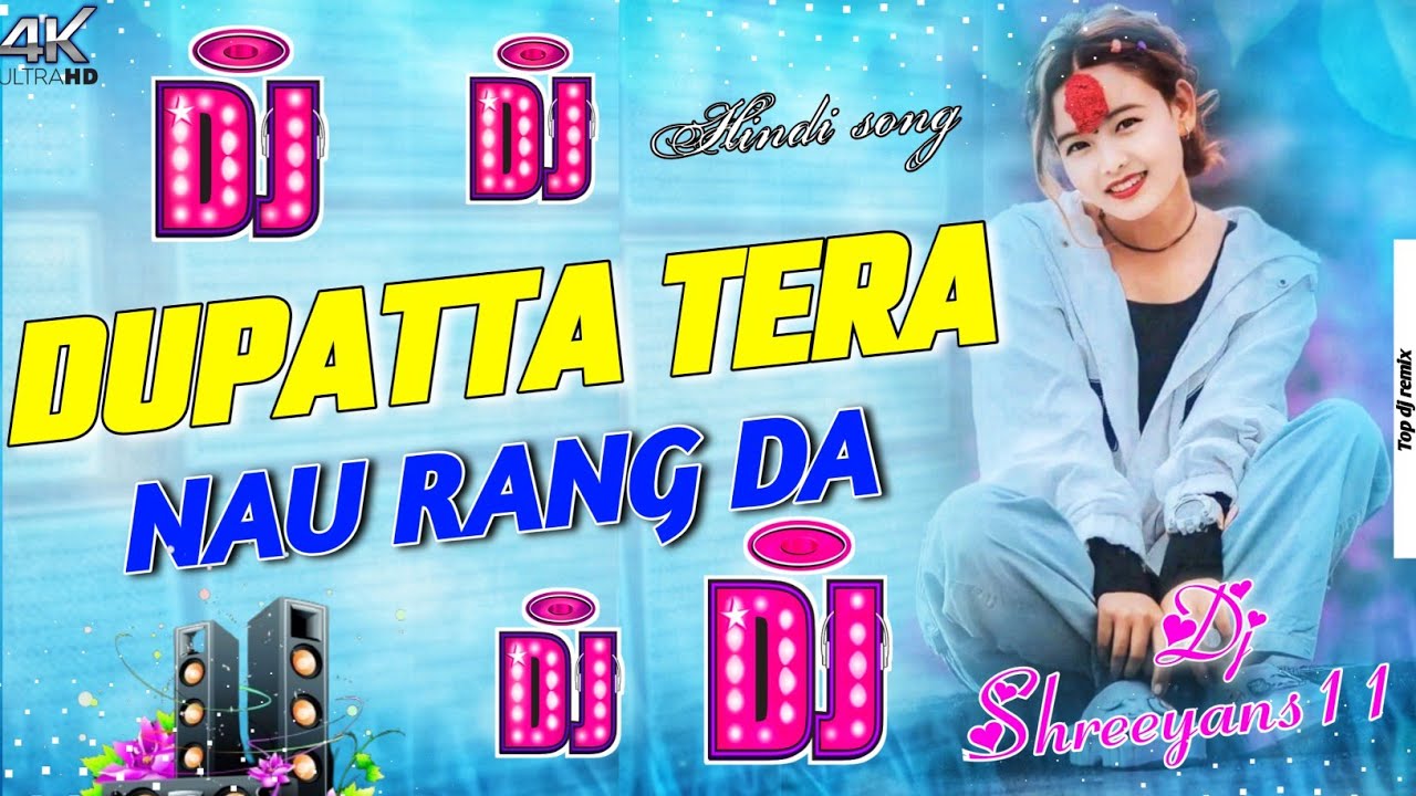 DUPATTA TERA NAU RANG DA | HINDI EDM DJ SONG | HARD DJ MIX | DJ SHAREEYANS 11