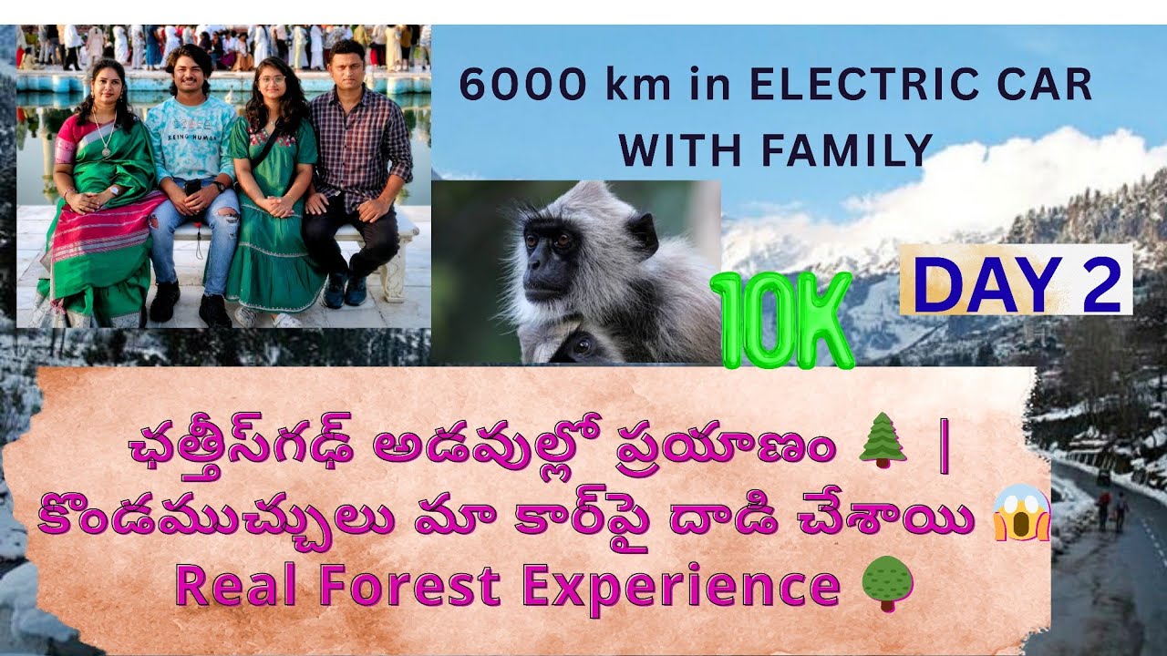 Terrifying Experience in Chhattisgarh Forest 😱 | Monkeys Attacked Our Car! 🚗🐒
