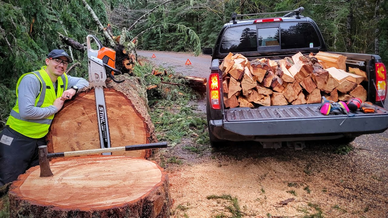 Roadside Firewood Haul from a 36