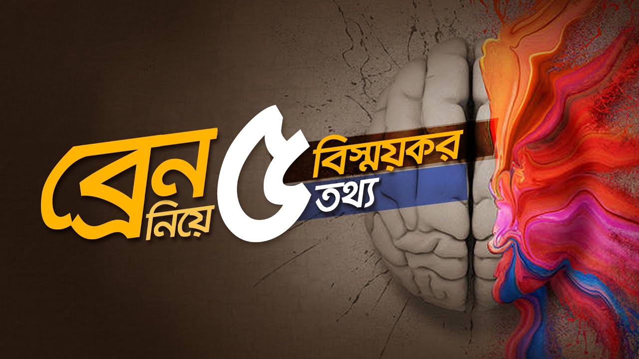 ব্রেন নিয়ে ৫টি বিষ্ময়কর তথ্য #মেডিটেশন #কোয়ান্টাম_মেথড #ব্রেন #মস্তিষ্ক #brain #brainpower