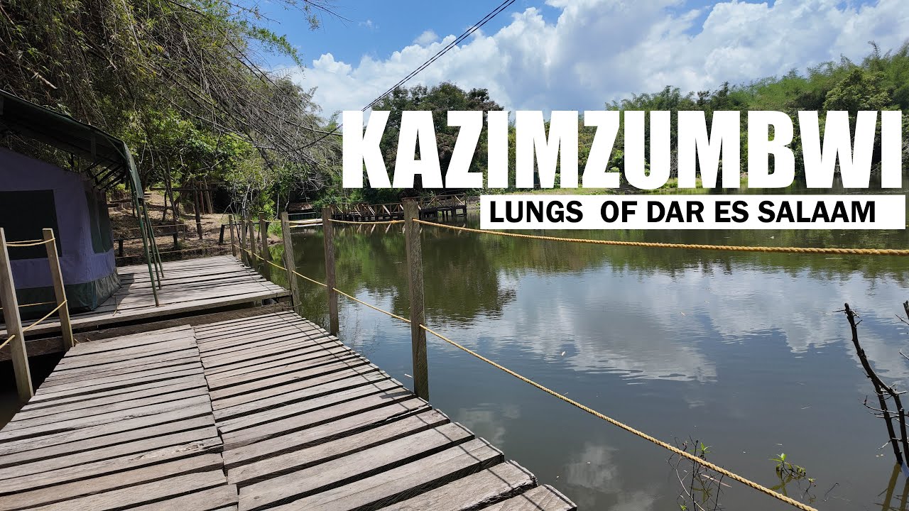 Exploring Pugu Kazimzumbwi Forest Reserve – The Lungs of Dar es Salaam!