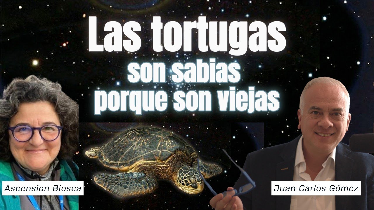 La Sabiduría de la Tortuga: Resiliencia con Ascensión Biosca
