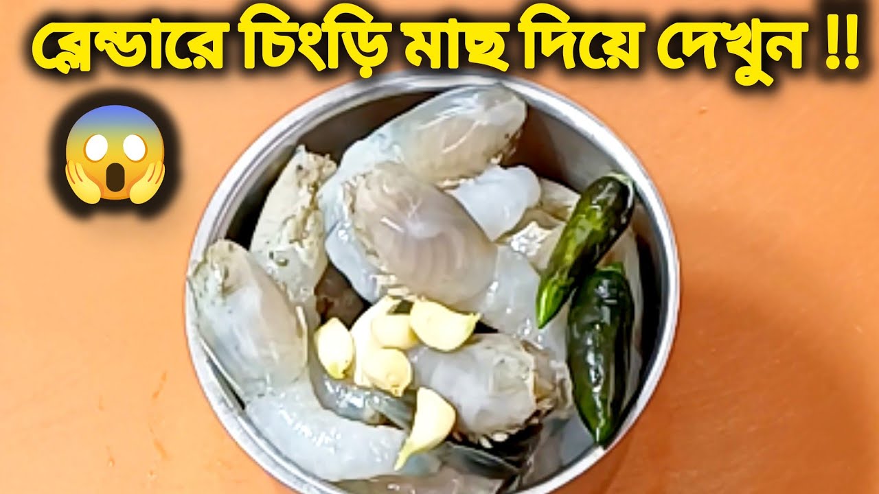 Wow ! মুখে দিয়েই সবাই রেসিপিটা জানতে চাইবে যদি ব্লেন্ডারে চিংড়ি মাছ দিয়ে এভাবে বানান 😋New Recipe 