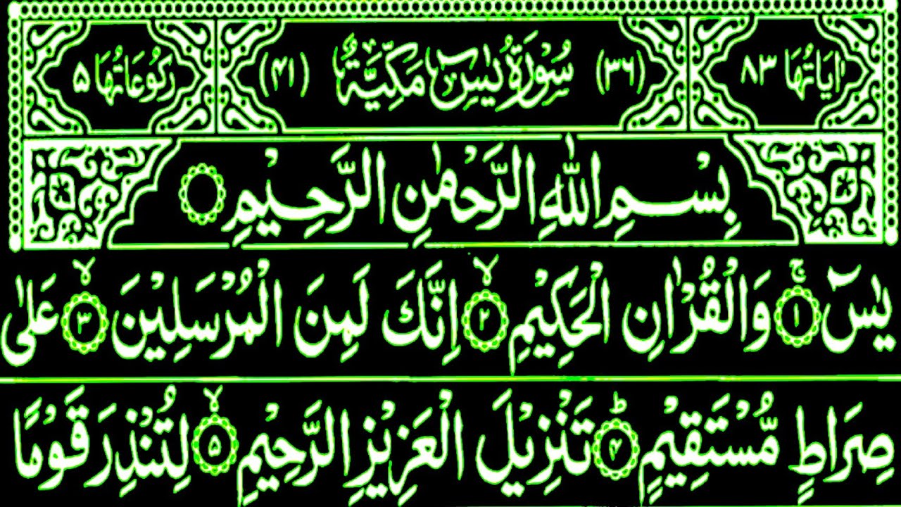 Surah Yaseen Surah Ar Rahman | Qur'an reaction Yaseen  #yaseentilawat  #surahyaseen