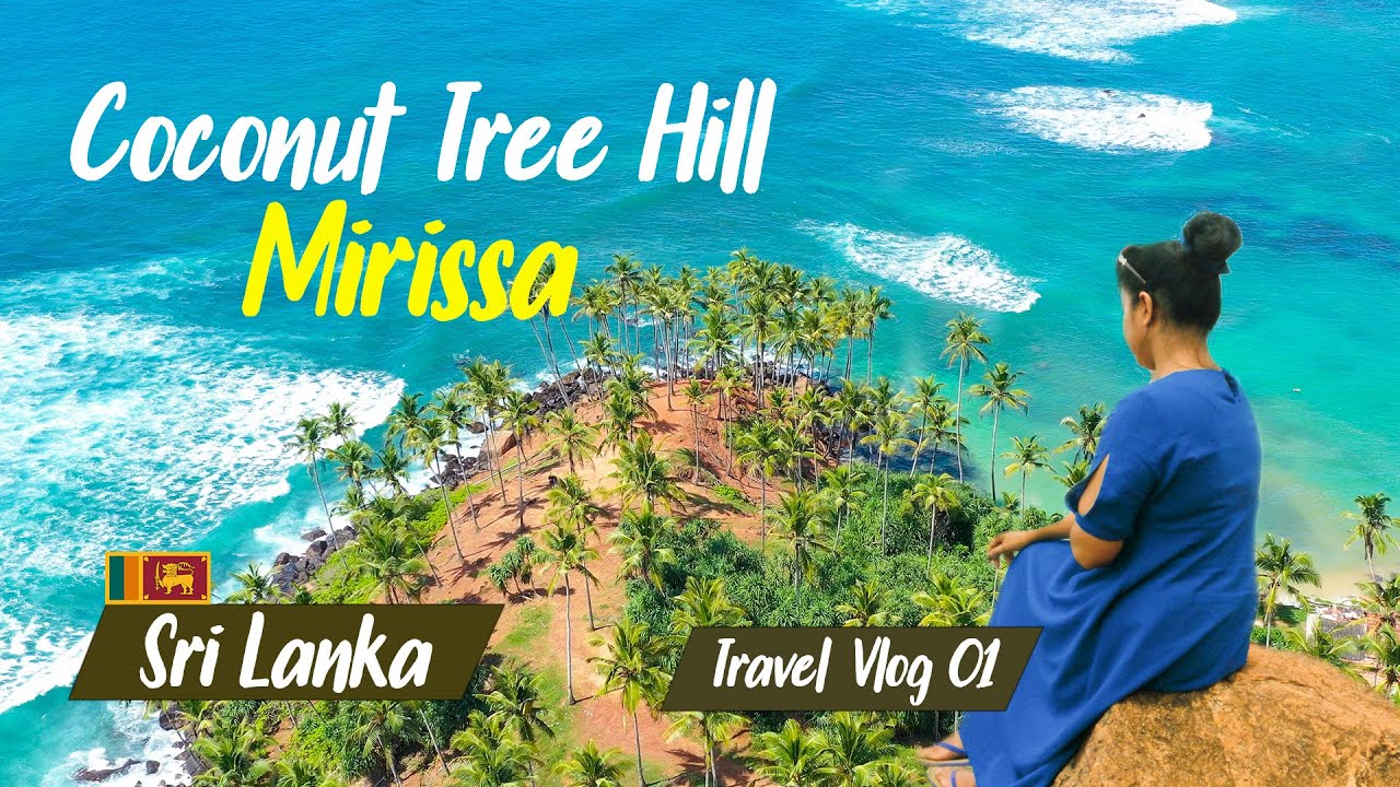 Coconut Tree Hill mirissa｜srilanka Lanka｜Cinematic｜Vlog #01