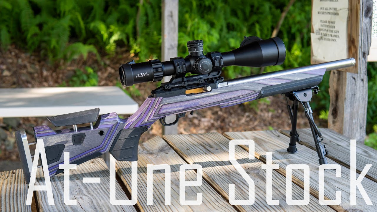Boyds At One Stock - AWESOME Choice For Your 10/22 or Bolt Gun!