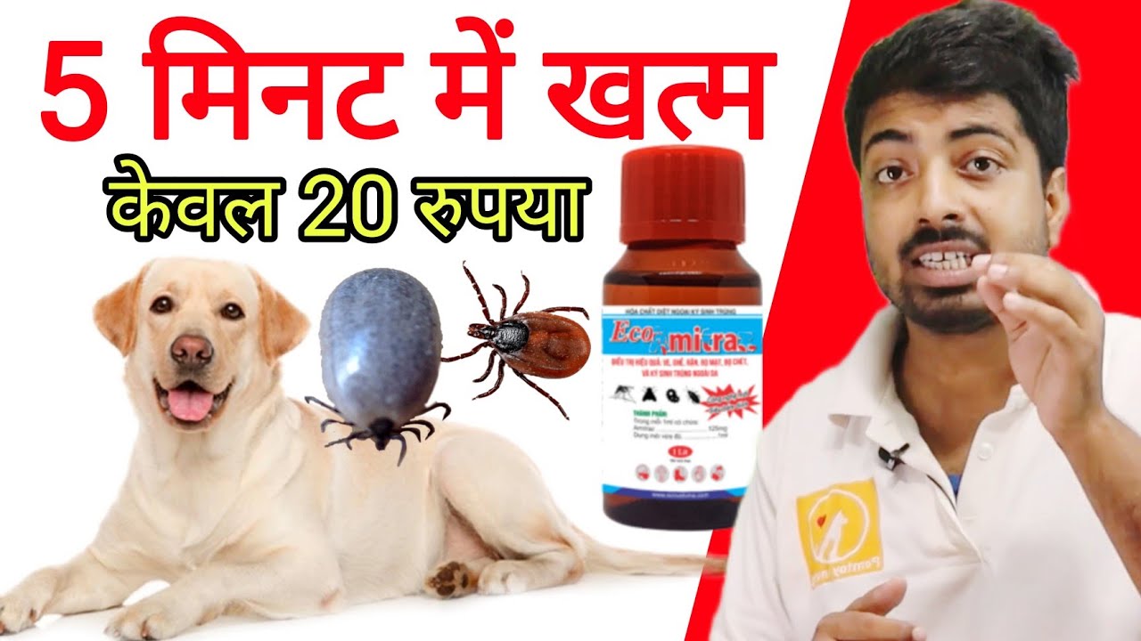 New technology || 100% tick solution in cheap. No shampoo, No power or spot on. 🔥🔥