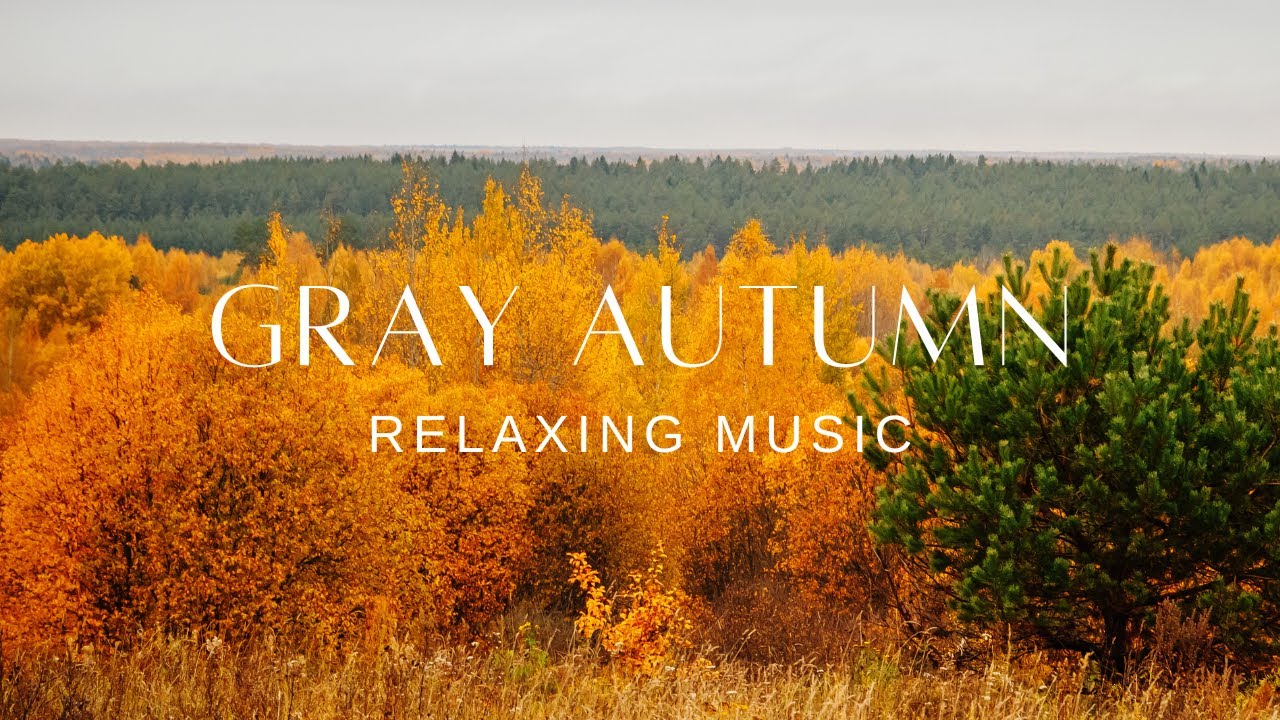 Peaceful Relaxing Guitar | Work Study Read Focus | Gray Autumn