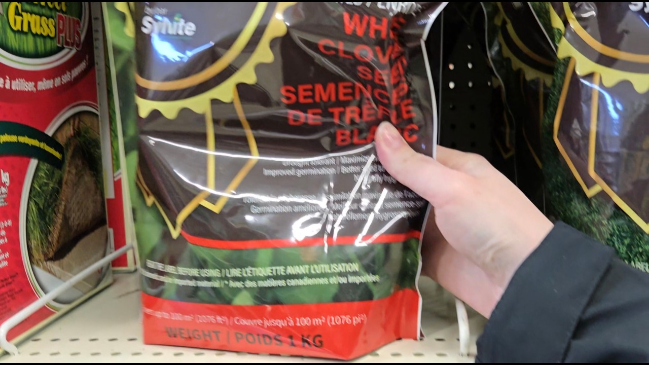 Canadian Tire Tingles (ASMR in Public)