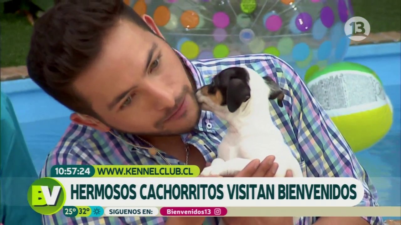 Hermosos cachorritos visitaron el estudio (Parte 1) | Bienvenidos