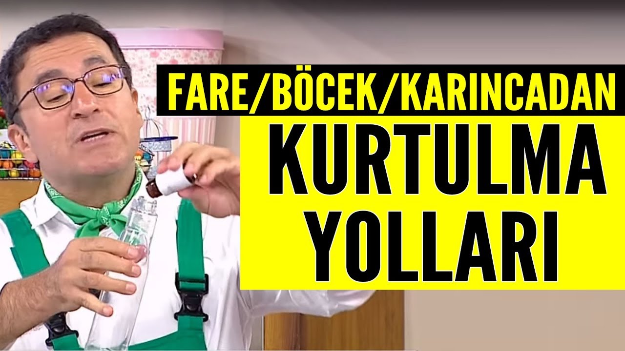 Evde böcek,fare ve karıncadan kurtulma yolları
