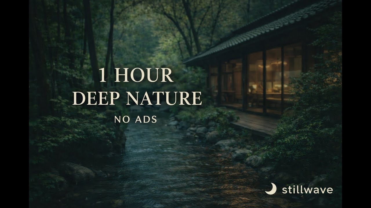 Stillwave 🌊 1 Hour Deep Nature Sounds for Sleep | Calm Frequencies • No Ads