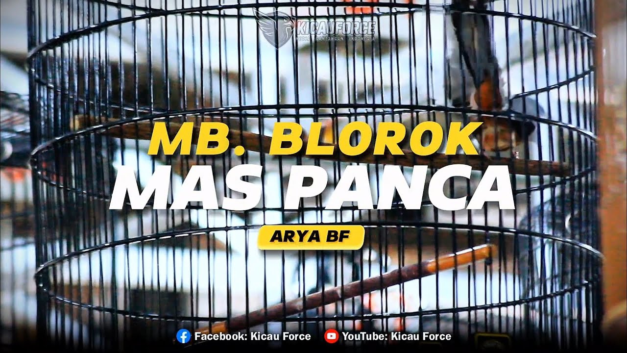 Murai Batu Blorok Aksi Sujud Di Hadapan Juri Masterpiece‼️🥶 - Part 1