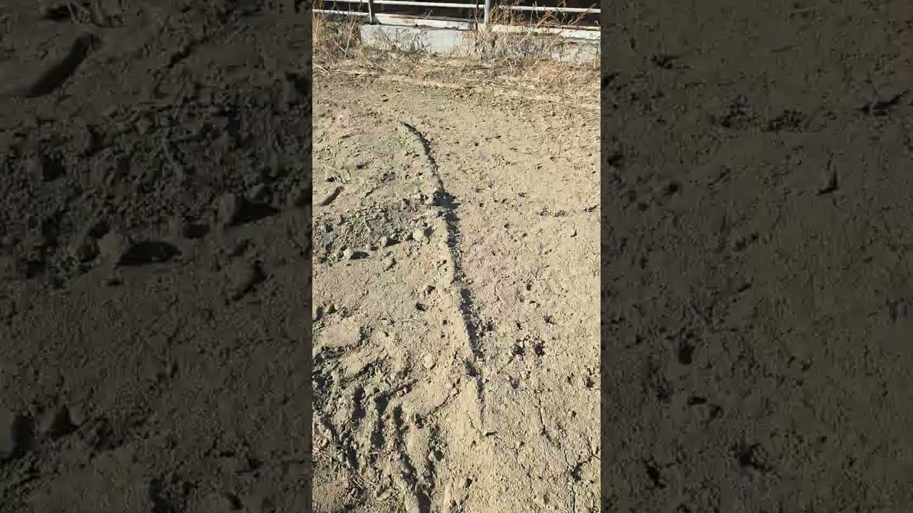 예천읍 청복리소우사매매