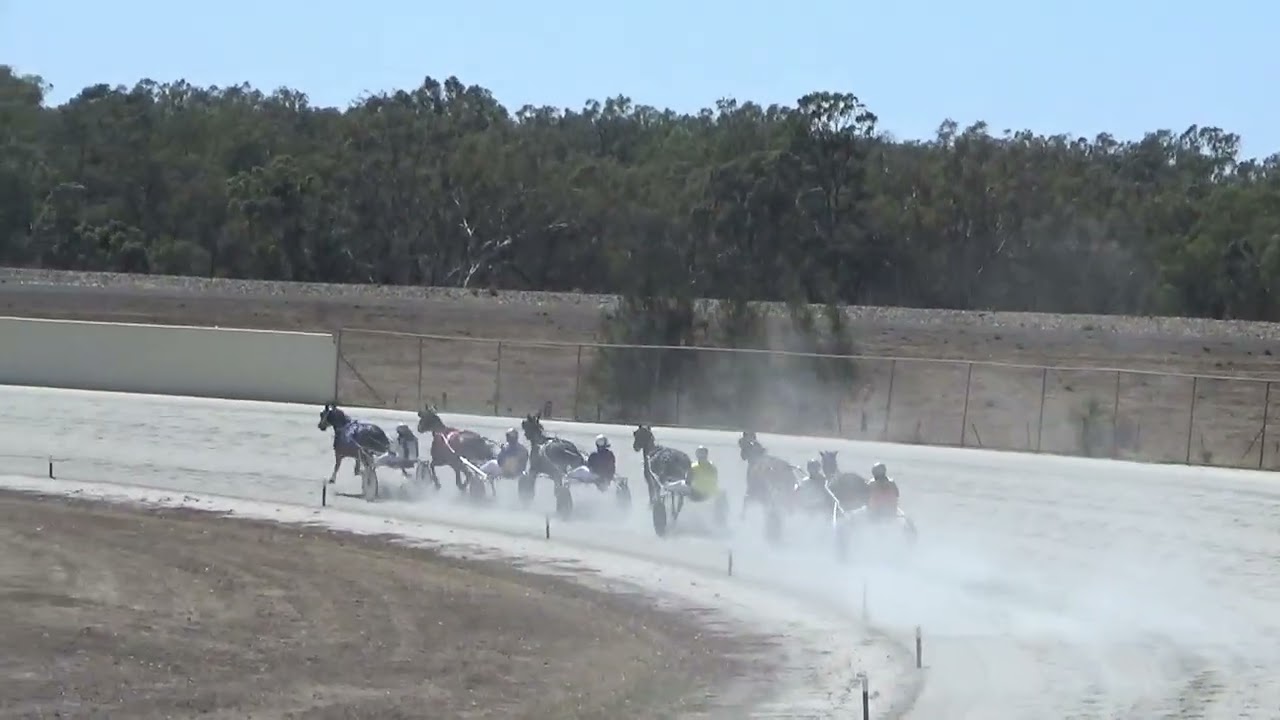 Cobram Harness Racing Trial 2 12022026
