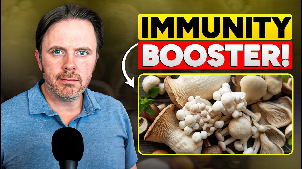 Top 5 Mushrooms for Immune Health – Immunity Boosting Mushrooms