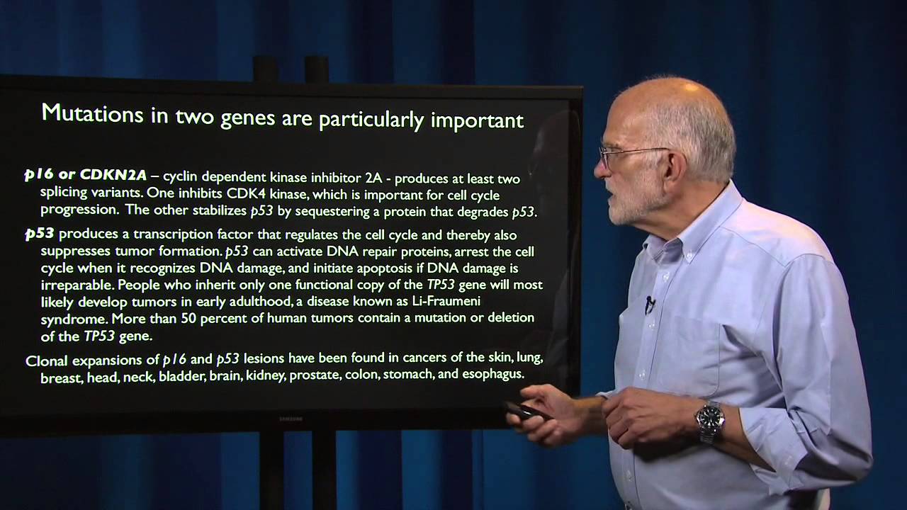 6.3 - Cancer: Clonal evolution