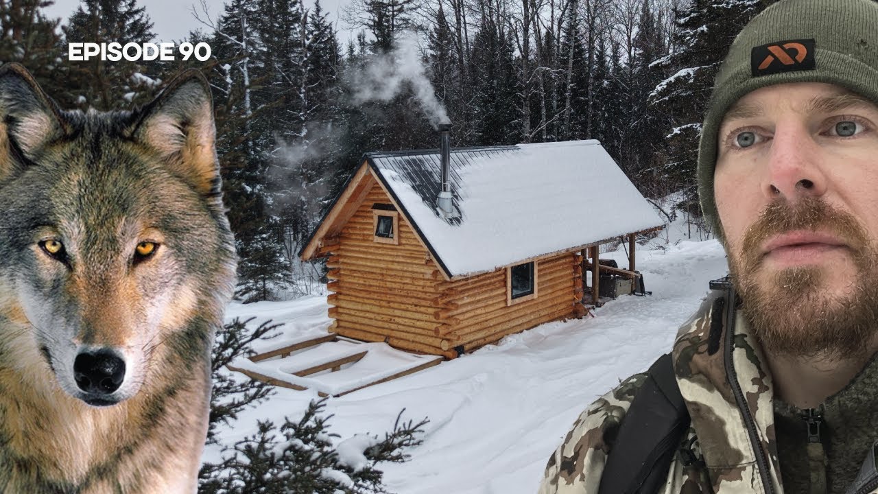 WOLVES, Sauna: Door, Stove + FIRST Session |EP90| Log Cabin Build on Off-Grid Homestead