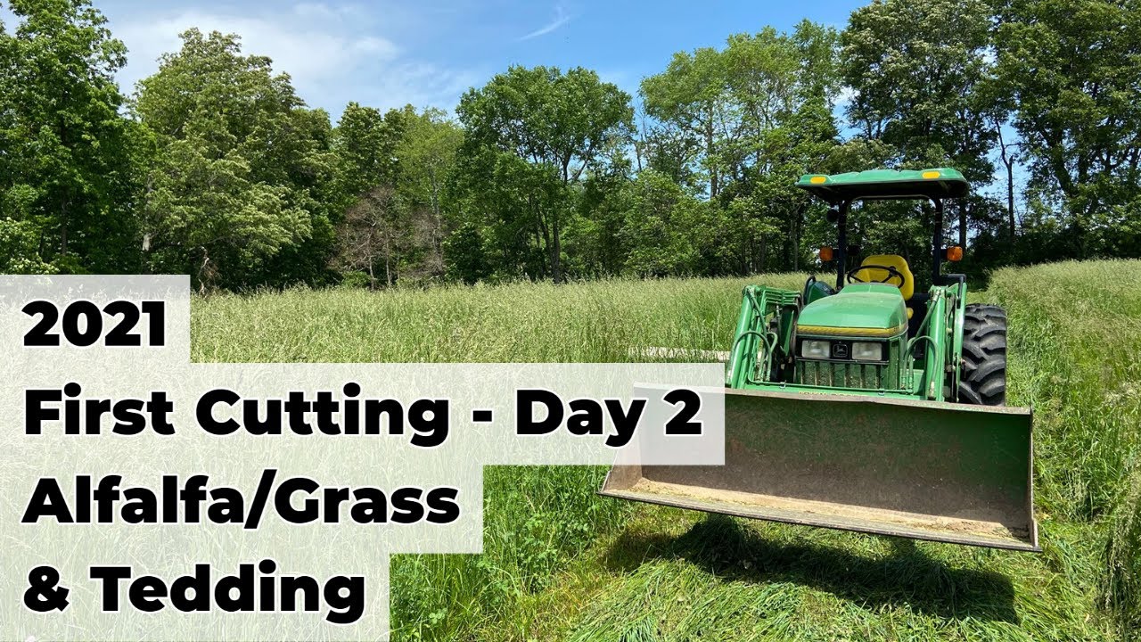 Day 2 - First Cutting & Tedding - Alfalfa/Grass and Fescue