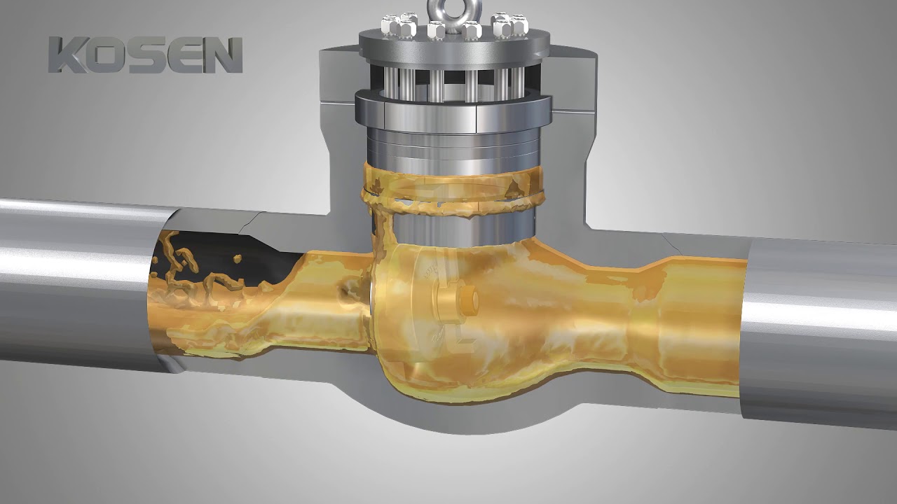 Kosen Pressure Seal Check Valve