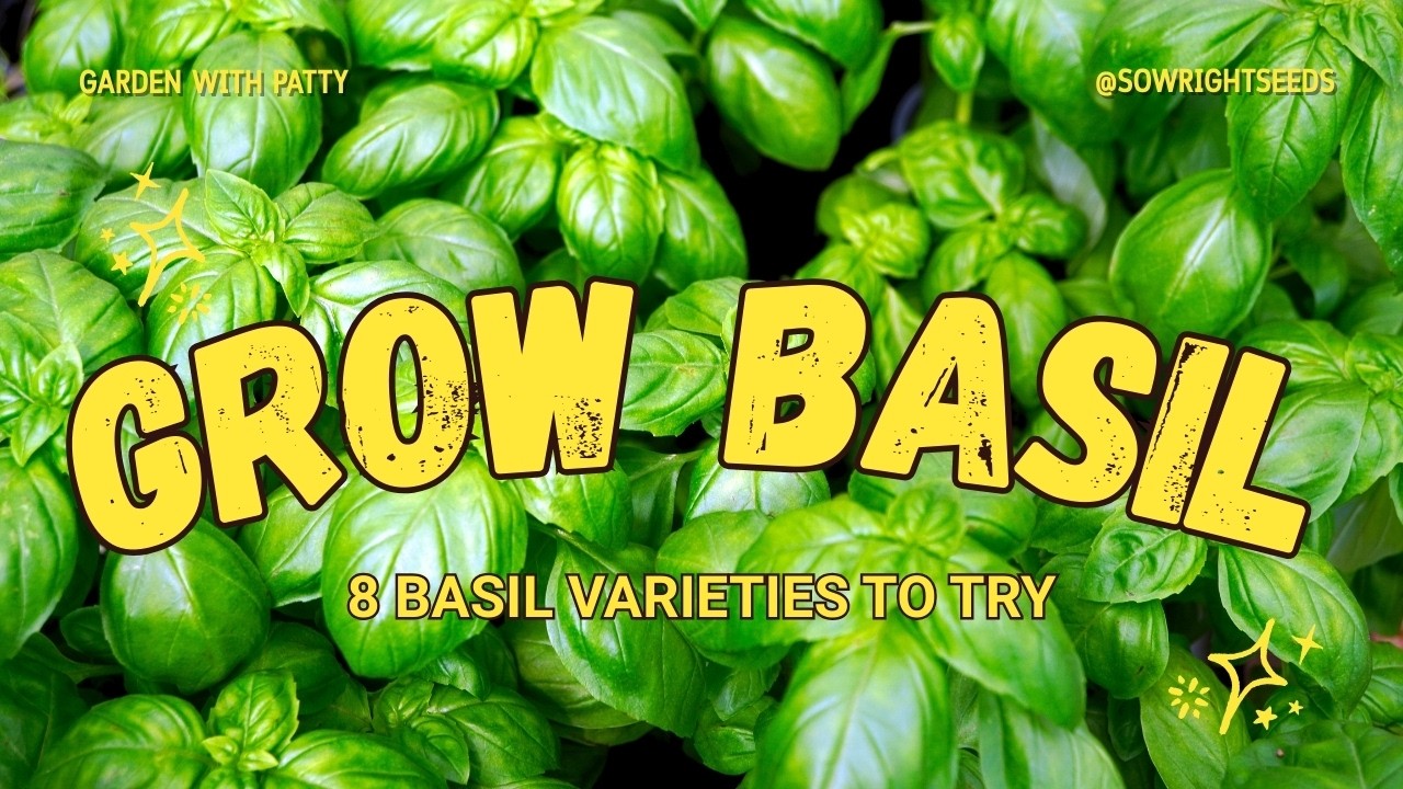 Best Basil Varieties to Try + How to Grow Them