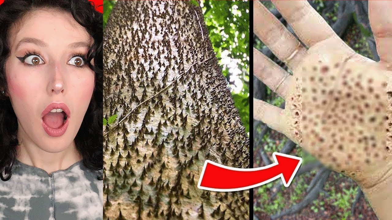 OHA DERSEN KAYBEDERSİN CHALLENGE ! (ÇOK ZOR)