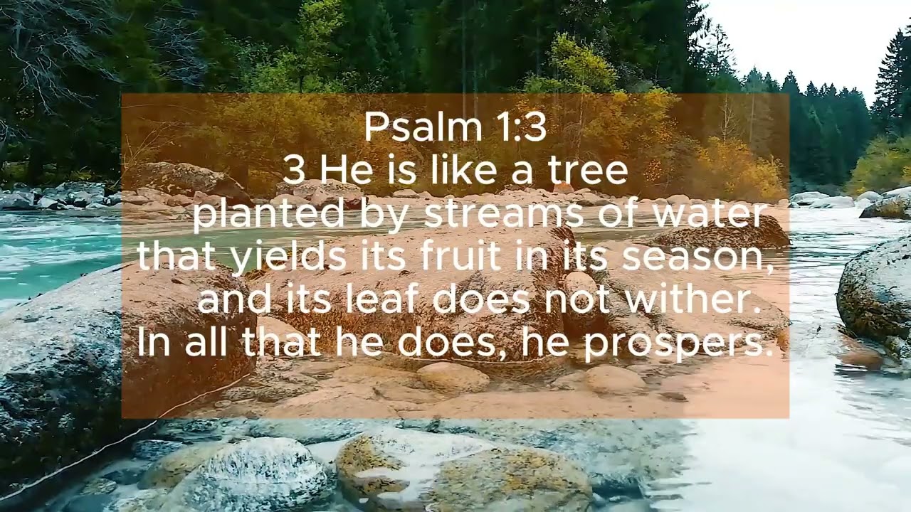 Harvest in the waiting | Deep Roots, Real Harvest