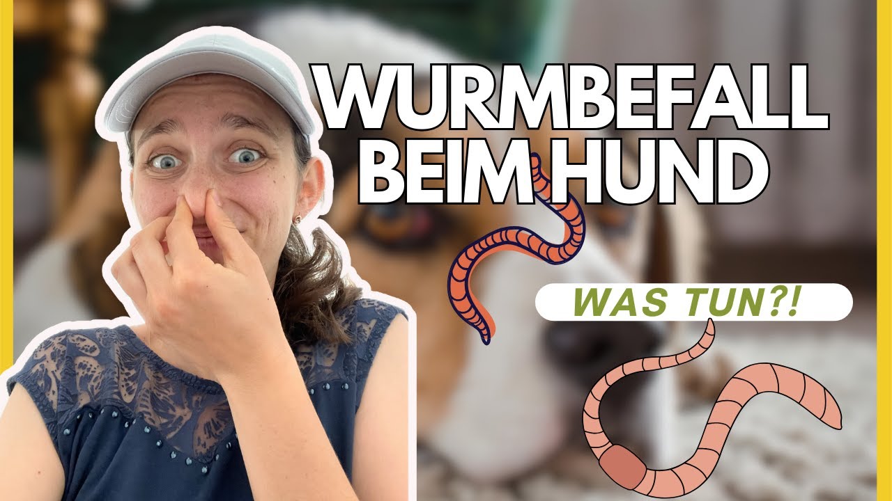 Warum eine Wurmkur keine Prophylaxe ist! | Gesunde Hundeernährung & Parasitenabwehr