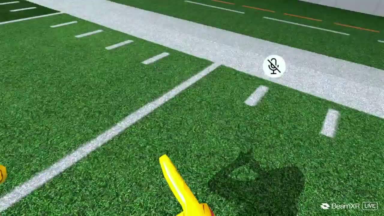 Playing NFL Pro Era