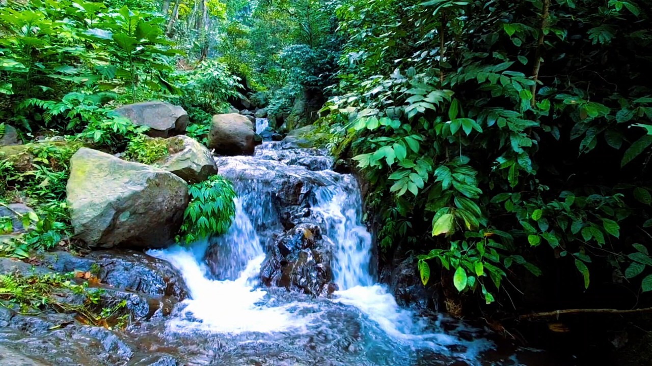 River Sounds for Mental Reset