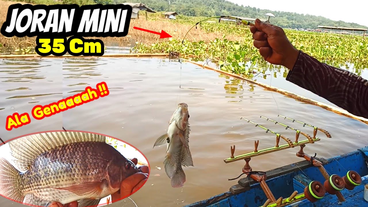 Detik-detik joran mini angkat ikan besar di spot dangkal || MANCING CIRATA TERBARU
