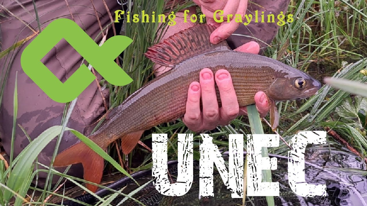 Ep9:Slovenia Fishing Trip 🇸🇮 Bears watching🐻#Unec River#Graylings#  What a place!! 4K  Part1