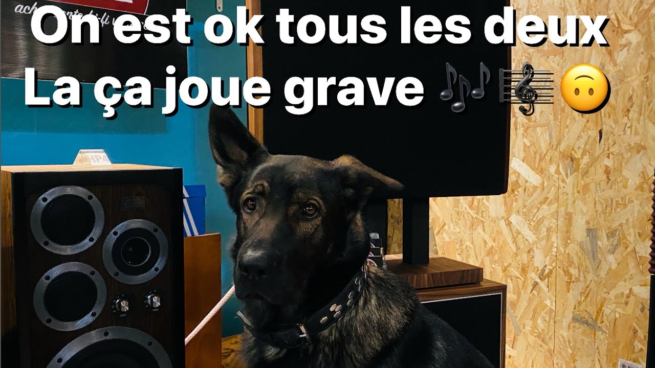 2e TUERIE 🔥d’écoute ➡️ Quad 405 ➡️ Pré ampli Siemel😍sur enceintes DAHLQUIST DQ10 #hifivintage #hifi